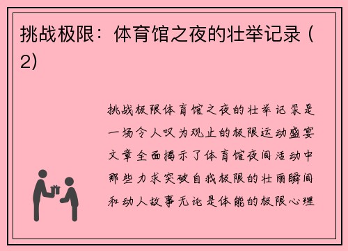 挑战极限：体育馆之夜的壮举记录 (2)